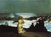 Winslow Homer A Summer Night USA oil painting artist